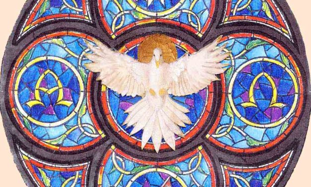 La grazia ci conferisce una natura nuova e più elevata