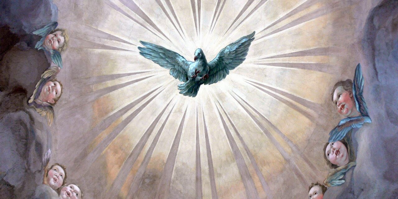 Per mezzo della grazia siamo fatti partecipi alla santità della natura divina