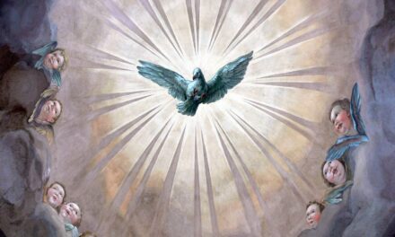 Per mezzo della grazia siamo fatti partecipi alla santità della natura divina