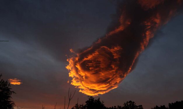 Con quale forza meravigliosa la grazia ci preserva dal peccato mortale o lo annulla in noi