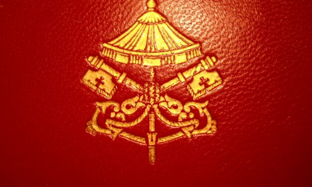 Sul sedevacantismo. Riflessioni e osservazioni di un cattolico non-sedevacantista