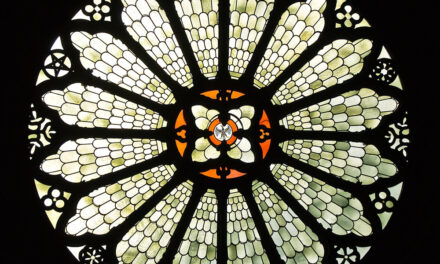 La grazia infonde nei nostri cuori le virtù teologali