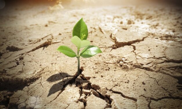 La virtù teologale della speranza