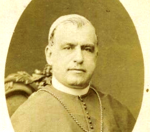 [GLORIE DEL CARDINALATO] S.E.R. Cardinale Bartolomeo d’Avanzo (1811-1884)