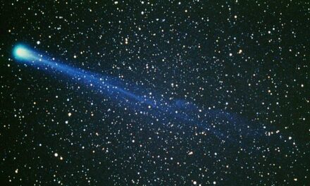 Nella grazia si ritrova la più radiosa chiarezza, la vera libertà ed il più grande progresso