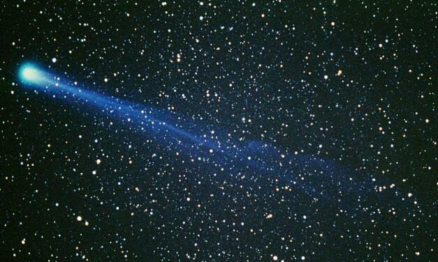 Nella grazia si ritrova la più radiosa chiarezza, la vera libertà ed il più grande progresso