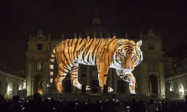 Oltre ogni limite: se la “misericordia” si dimentica degli Innocenti