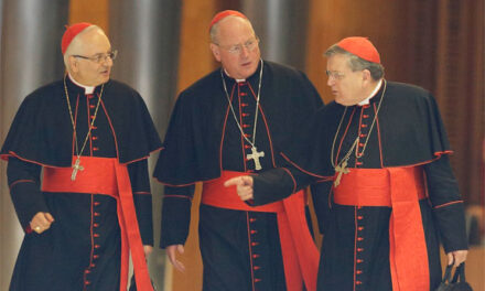 Cardinal Burke: se situazione non cambia, a gennaio monizioni canoniche a Bergoglio