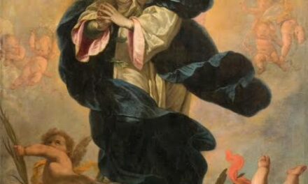 La purificazione della Parola: analogie con l’Immacolata Concezione