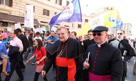 Cardinal Burke: ‘se il Papa cade in eresia formale, cessa automaticamente di essere Papa’