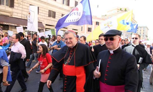 Cardinal Burke: ‘se il Papa cade in eresia formale, cessa automaticamente di essere Papa’