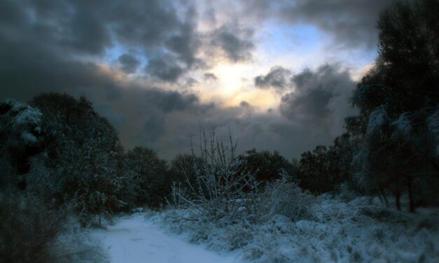 In una notte di mezzo inverno…