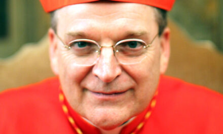 Intervista al Cardinal Burke per LifeSiteNews