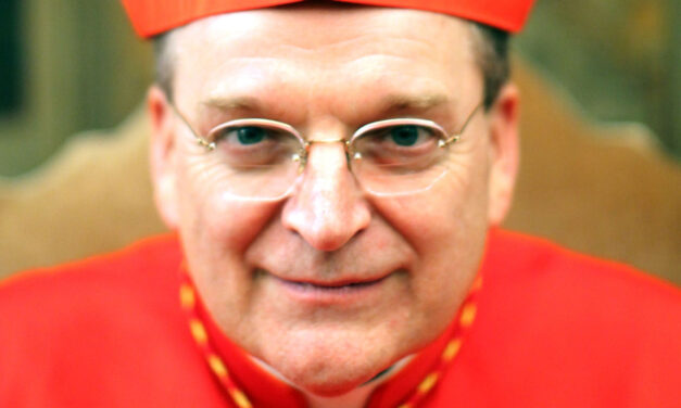 Intervista al Cardinal Burke per LifeSiteNews