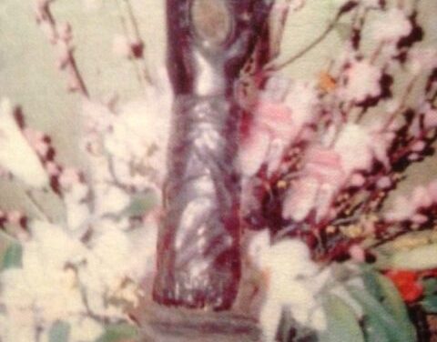 Omaggio alla Beata Giovanna Scopelli [terza parte]