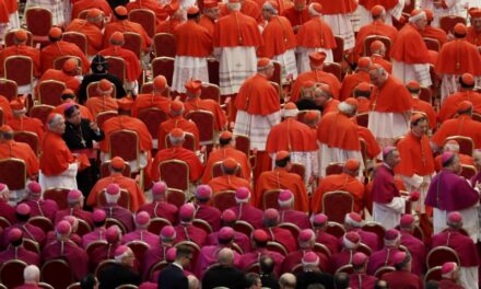 Non solo quattro? Trenta cardinali, e un numero significativo di vescovi, contrari ad Amoris Laetitia