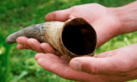 Osserv. Romano: la guerra in Siria è dovuta al clima