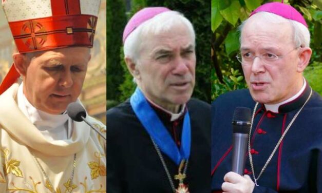 Già 3 vescovi – di cui 2 residenziali in carica – ammoniscono per iscritto: ‘si sta contraddicendo la Tradizione’