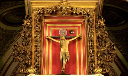 Di che cosa vi stupite? “Radicati nella fede” su dubia & dintorni