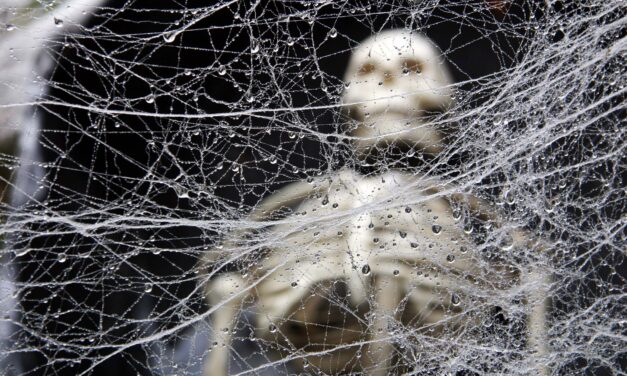 A proposito della risposta di don Angelo Citati ad Alessandro Gnocchi. Di Cesare Baronio