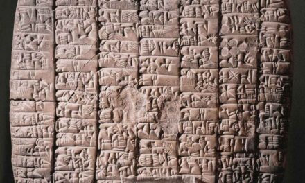 “Collaborazionista chi va da Assad”, archeologi in lite