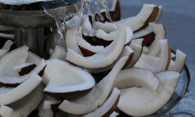 [DUBIA] La telenovela continua