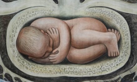 Fra Zingaretti e la CEI non sappiamo chi faccia vomitare di più