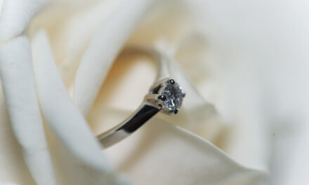 A proposito di castità nel matrimonio