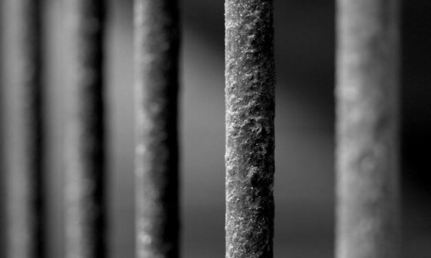 [CINESPADA] Figli di Caino: cronache di una conversione annunciata