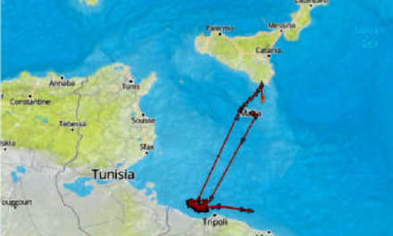 La verità, vi prego, sui salvataggi dei migranti