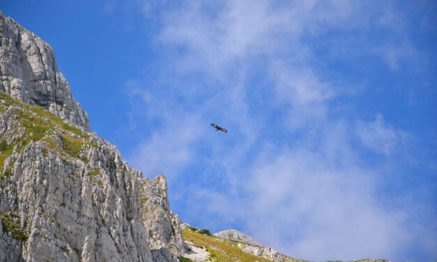La purificazione quaresimale ispirati dalla vetta del Carmelo (seconda parte)
