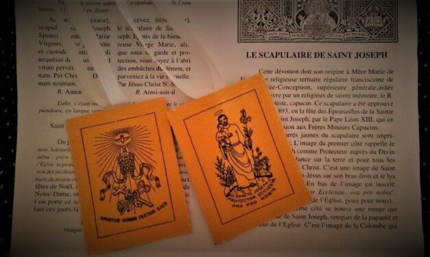 San Giuseppe, patrono della Chiesa universale e amico delle anime. I suoi soccorsi, i suoi rimedi potentissimi (su alcune pratiche devote). SECONDA PARTE