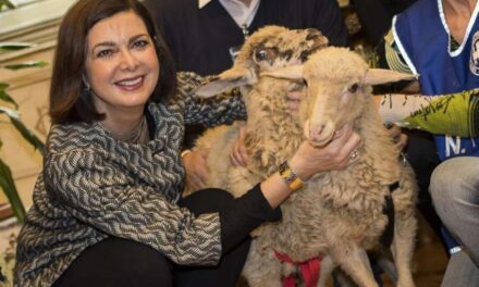 Sulla pericolosità politica e sociale della tenerezza