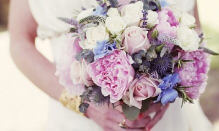 [Questione FSSPX] Analisi della Lettera della Commissione Ecclesia Dei sui matrimoni dei fedeli della Fraternità San Pio X