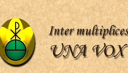 Il sito cattolico UnaVox aderisce alla Processione di riparazione