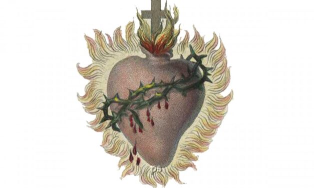 Un ottimo ‘punto della situazione’: terzo comunicato stampa ufficiale del Comitato B.G.S. – 26 maggio 2017.