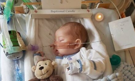 Vincenzo Paglia e l’utilitarismo volontarista