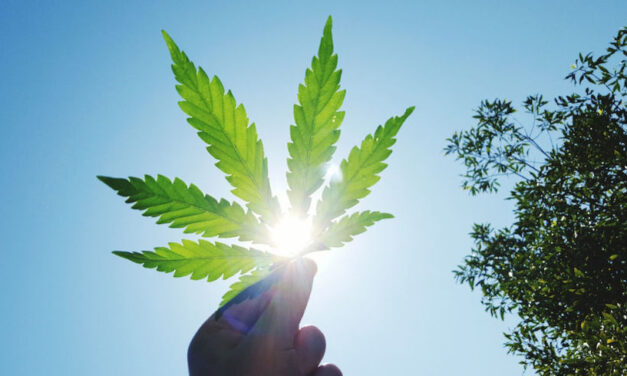 Soros il liberalizzatore (delle droghe)