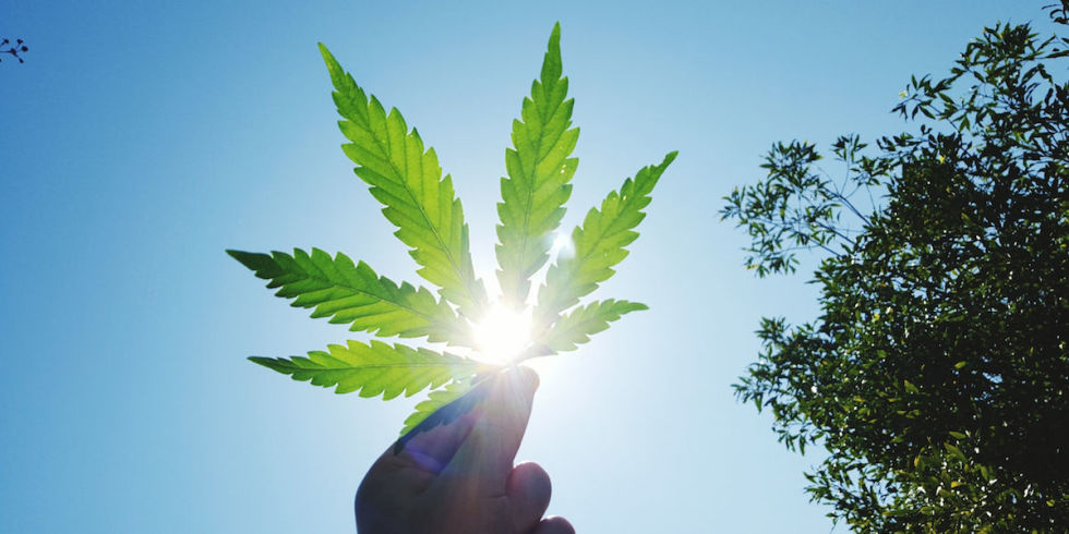 Soros il liberalizzatore (delle droghe)