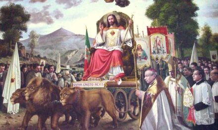 La militanza non va in vacanza: Rimini 29 luglio