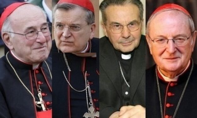 Lettera aperta ai Cardinali, in riferimento alla lettera aperta del Signor Stephen Walford