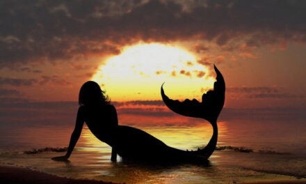 Lo ius soli, una sirena acchiappa migranti