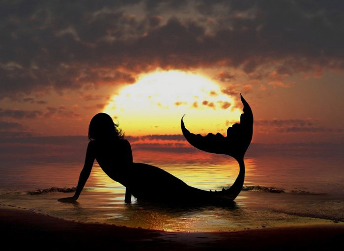 sirena