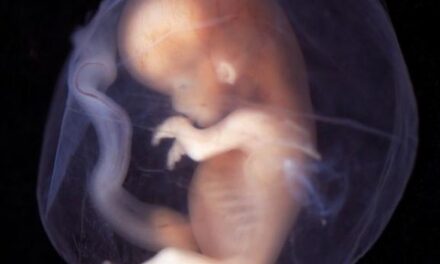 [VACCILEAKS] Walvax 2: cattolici, a che gioco vogliamo giocare?