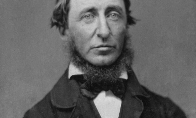 La disobbedienza civile