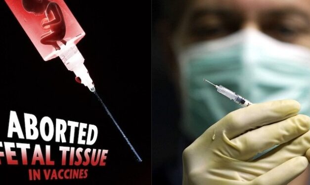 [VACCILEAKS] La PAV e i vaccini: cannibalismo di feti umani & co.