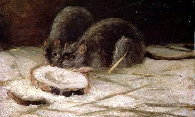 I sorci d’Italia: una poesia clericale del 1908