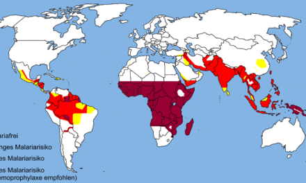 La malaria e la zanzara nella valigia
