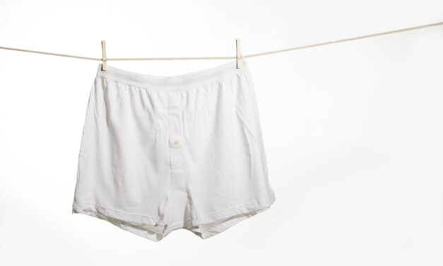 A colpi di petizione: quella ‘pro Francis’ raccatta tutti gli impresentabili