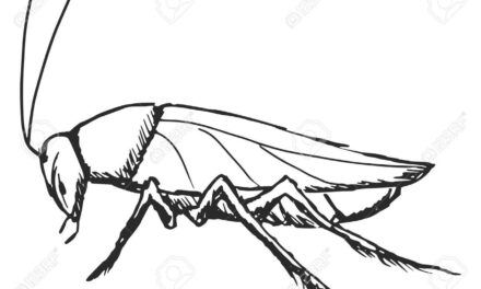 [ANTOLOGIA POETICA] Lo scarafaggio giornalista